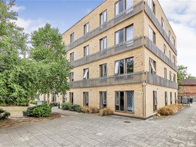 property_image 